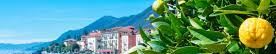 Banner La festa degli agrumi a Cannero sul Lago Maggiore e Locarno 9/10  marzo 2024 