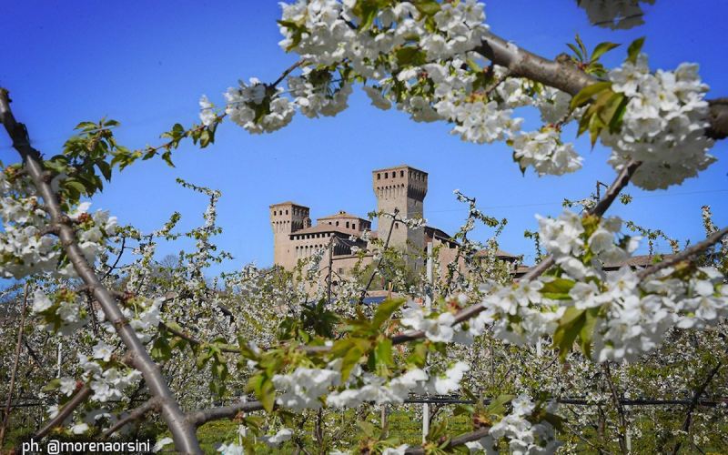 La festa dei ciliegi in fiore a Vignola 13/14 Aprile 2024