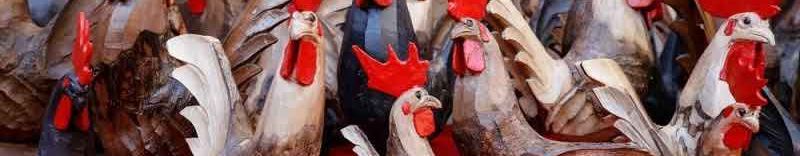 Banner Aosta Fiera Sant'Orso 30 Gennaio 2025