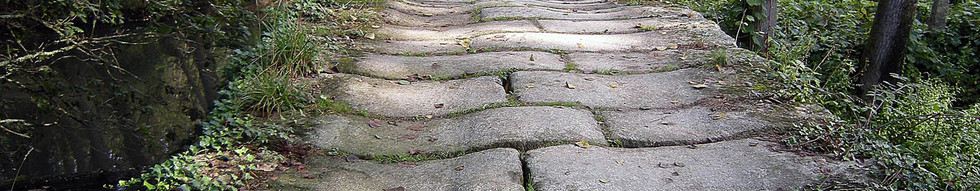 Banner CAMMINO SANTIAGO 