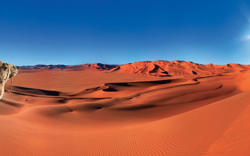 MAROCCO: LA VIA DELLE KASBAH E IL RESPIRO DEL DESERTO DAL 6 AL 13 OTTOBRE 2026