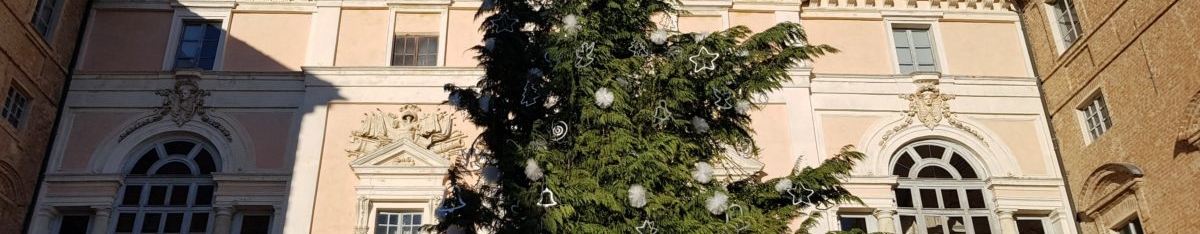 Banner NATALE A GOVONE E PRANZO TIPICO DOMENICA 15 NOVEMBRE 2026