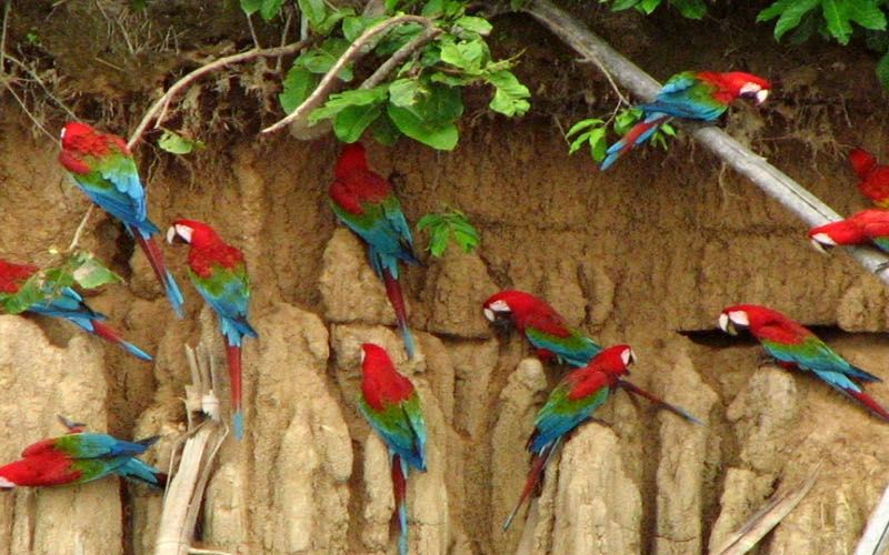 Controtendenza Viaggi 15