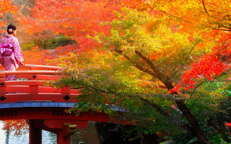 Controtendenza Viaggi 38