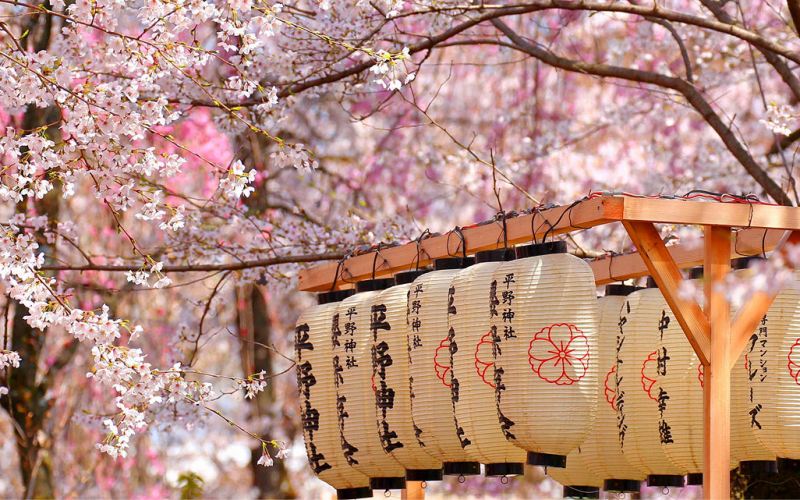 Controtendenza Viaggi 40